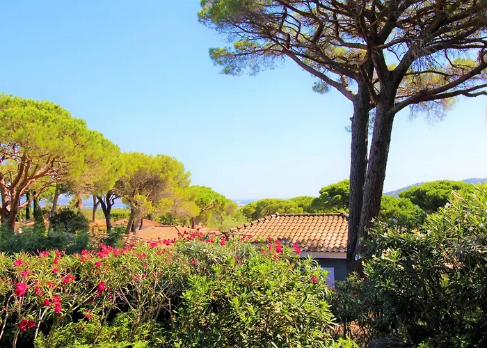 Gasmed29 - Golfe De St-tropez - Maison Climatisee 3 Avec Beau Jardin Et Apercu Alpstuga Gassin